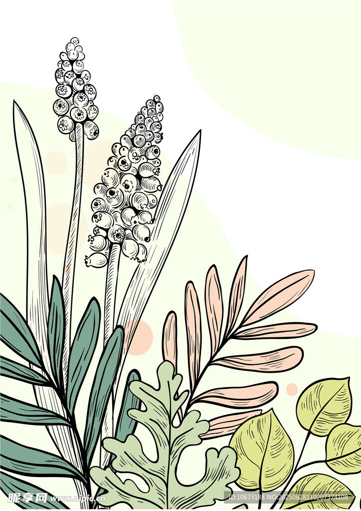 手绘清新植物花卉插画