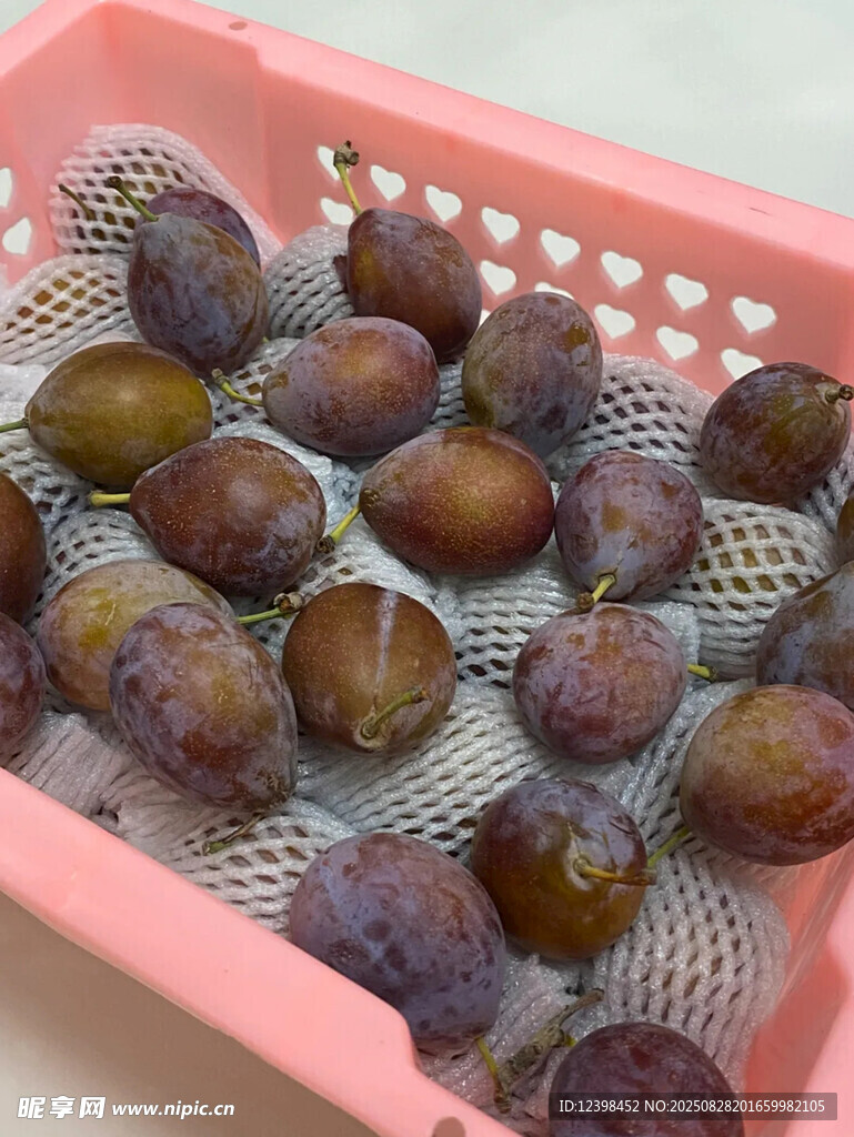 西梅