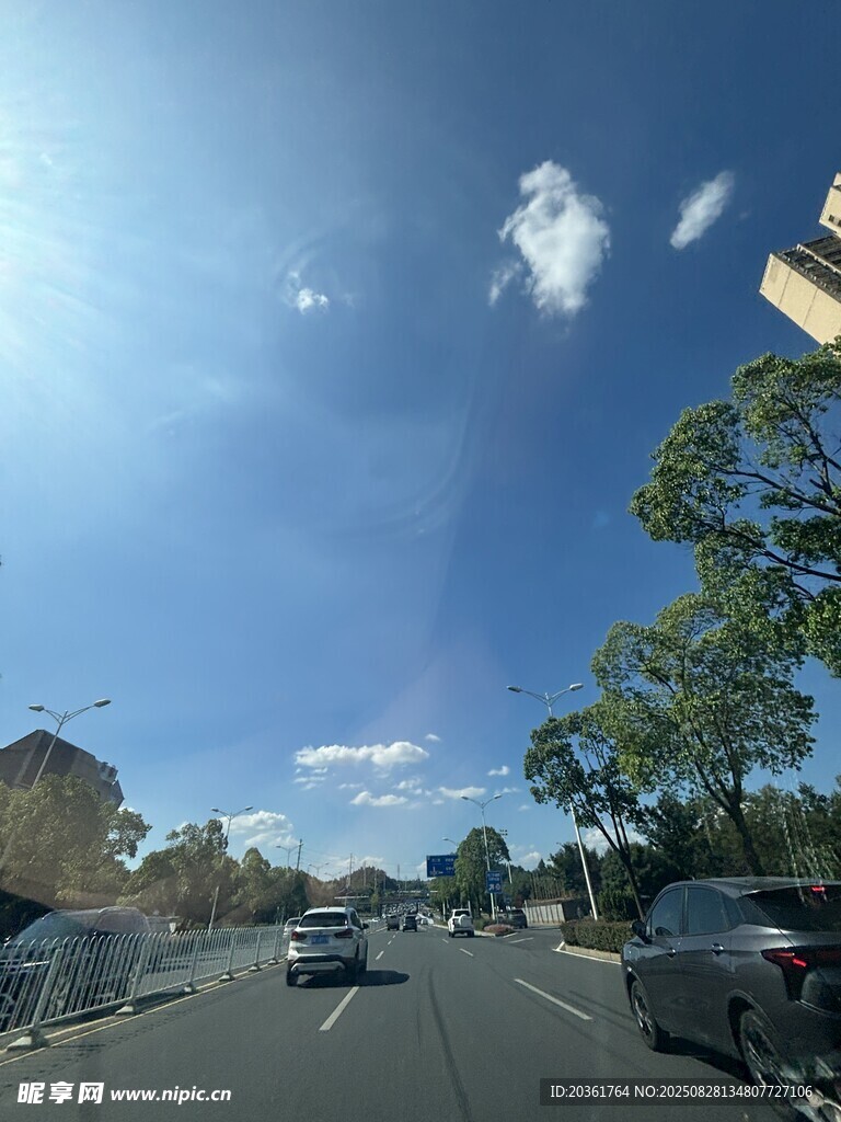 晴朗街道上的车辆与绿树