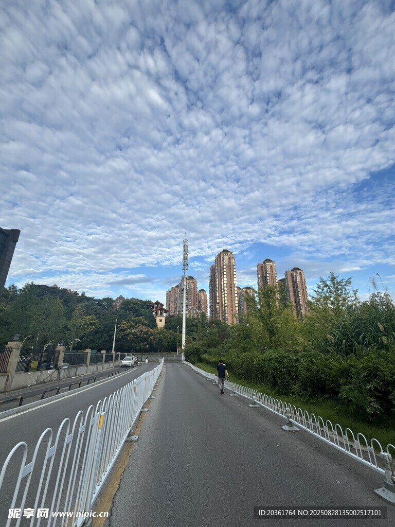 城市道路旁的高楼与蓝天