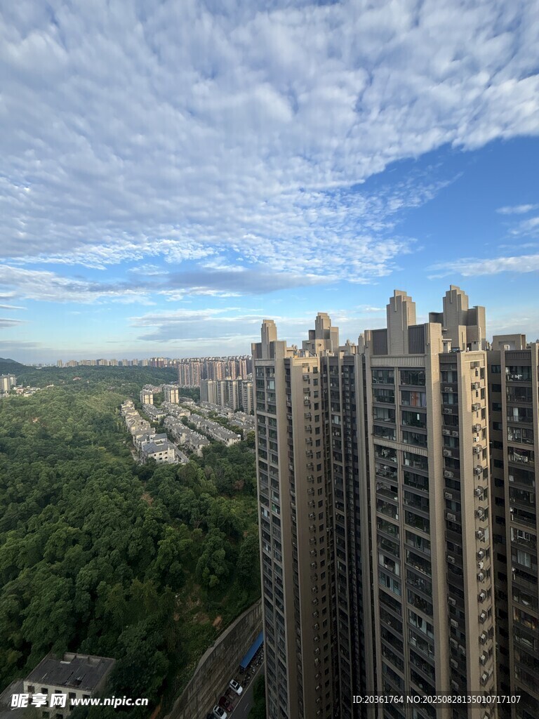 城市高楼与葱郁森林景观