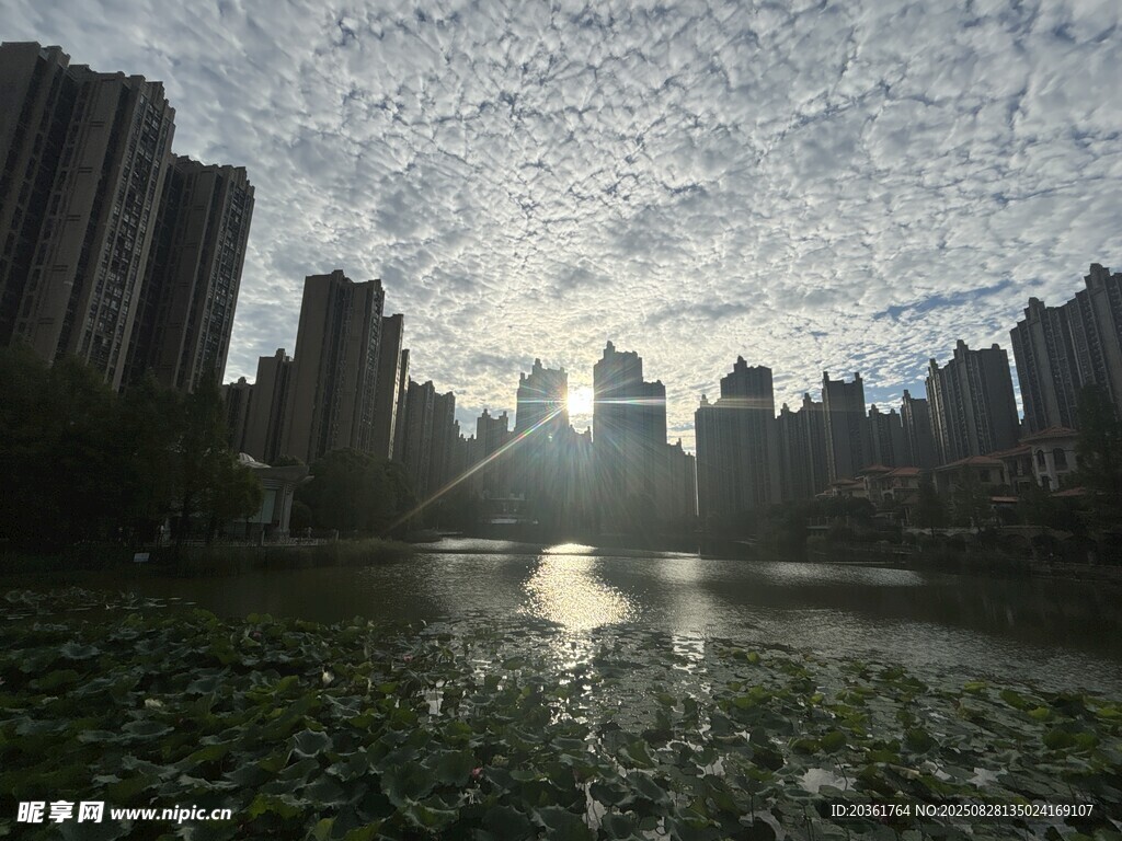 城市湖畔晨光美景