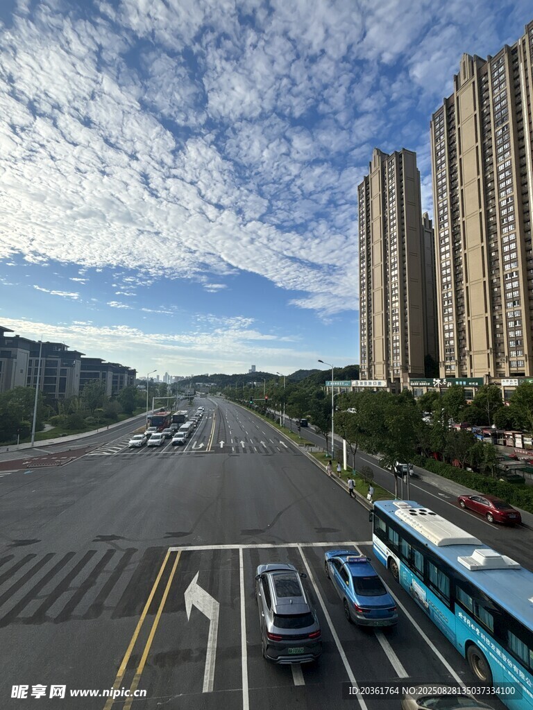 城市道路旁的高楼与车辆
