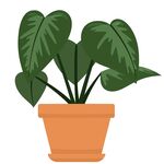 盆栽绿植卡通
