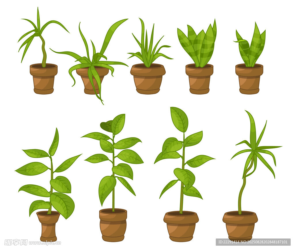 盆栽绿植集合