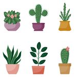 可爱盆栽植物插画集合