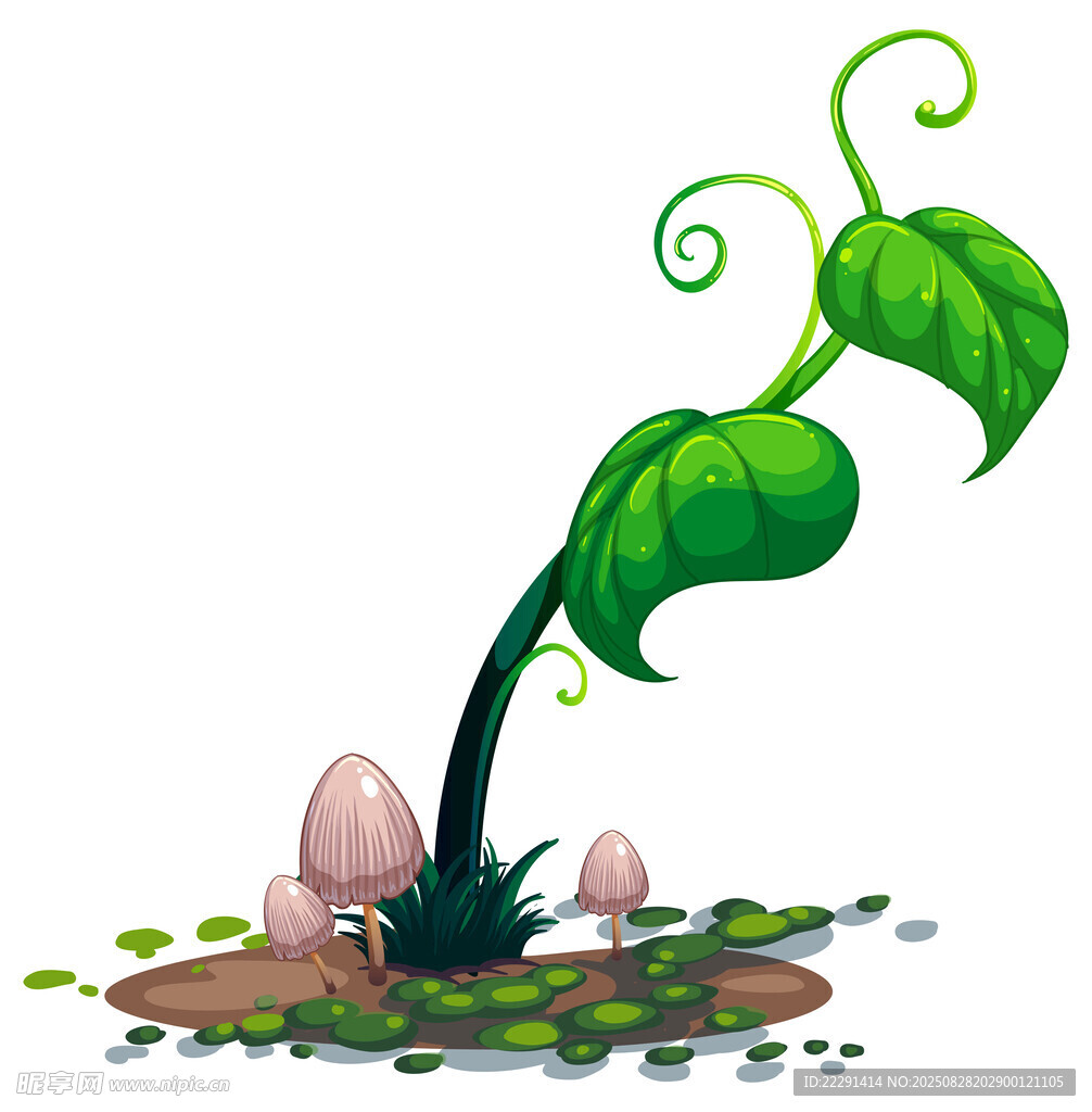 奇幻绿植与蘑菇的共生场景