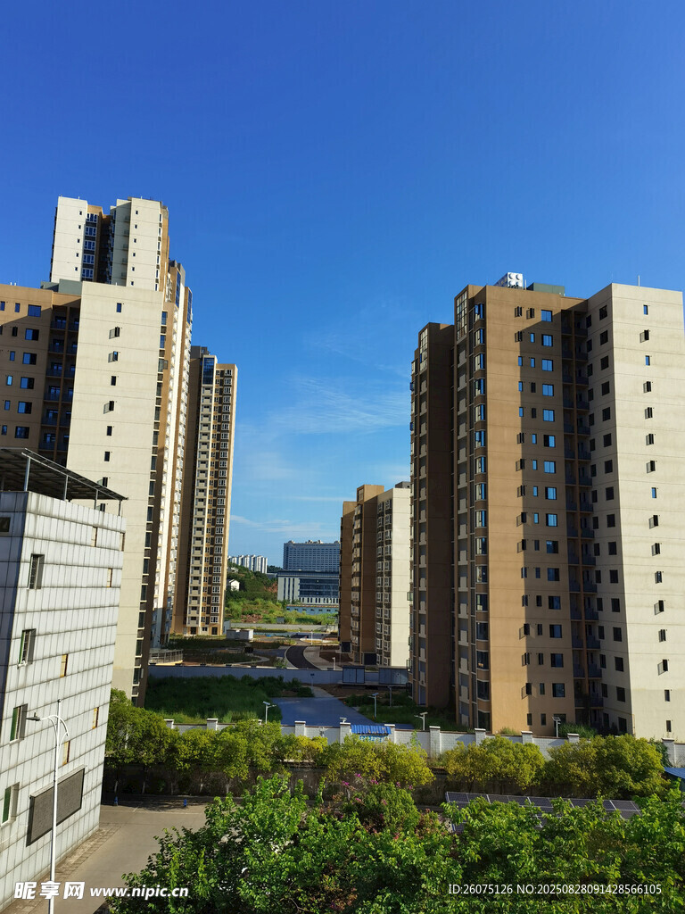 城市高楼与绿植景观