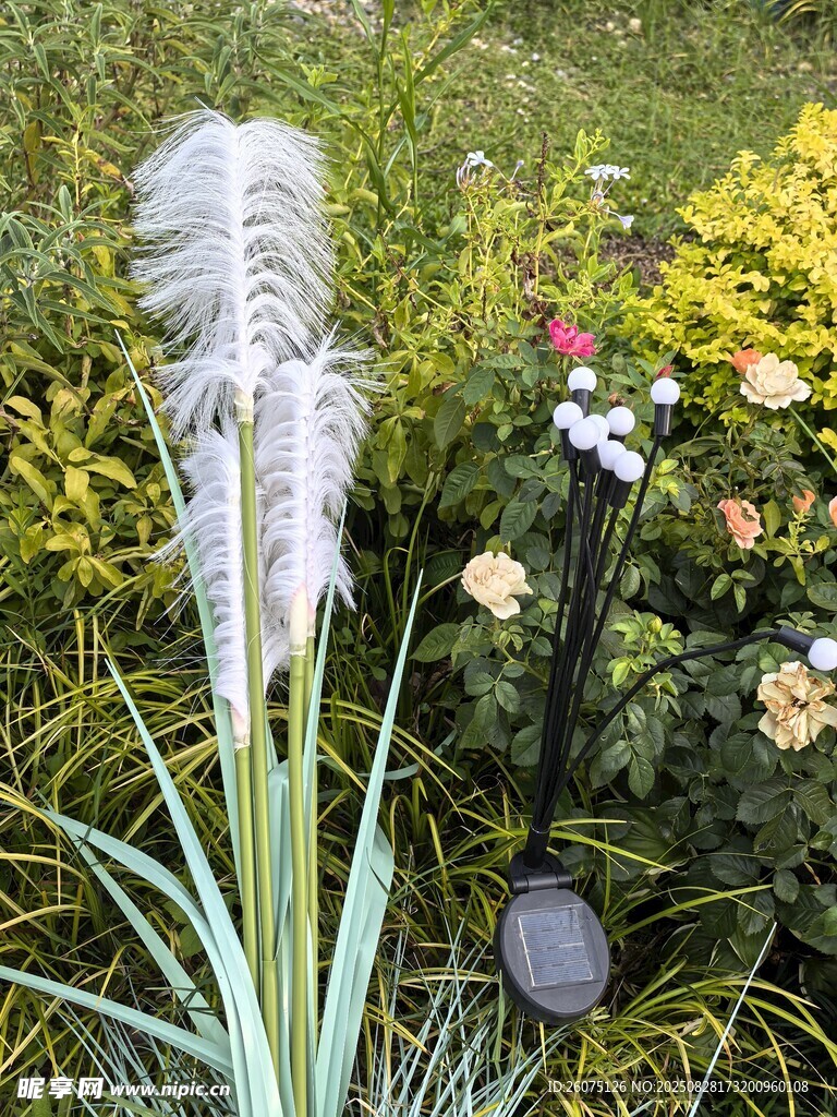 花园中的蒲苇灯饰与多彩花卉