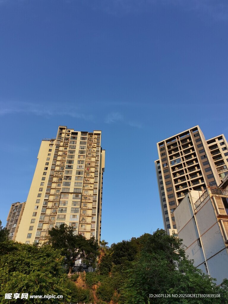 城市高楼与绿树相映成趣