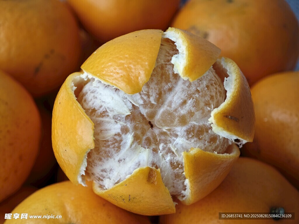 沃柑
