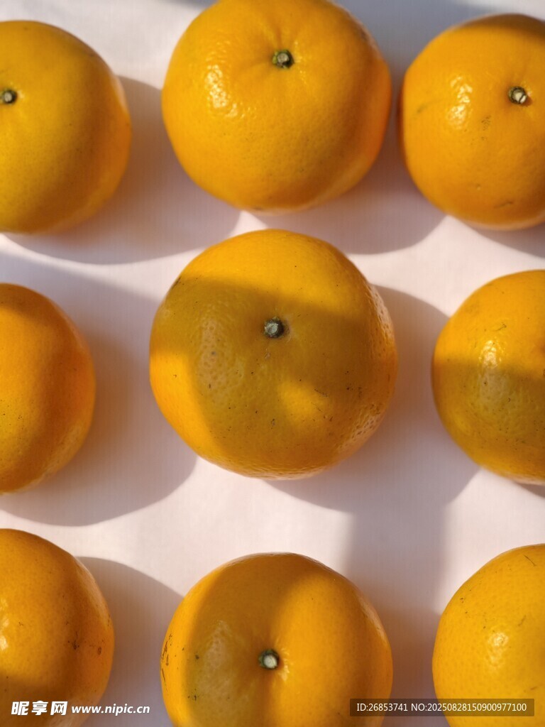 沃柑