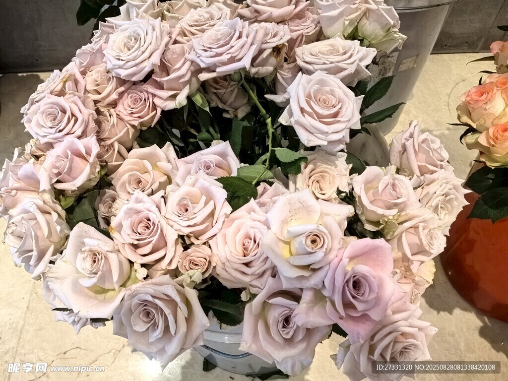 淡紫色玫瑰花束特写