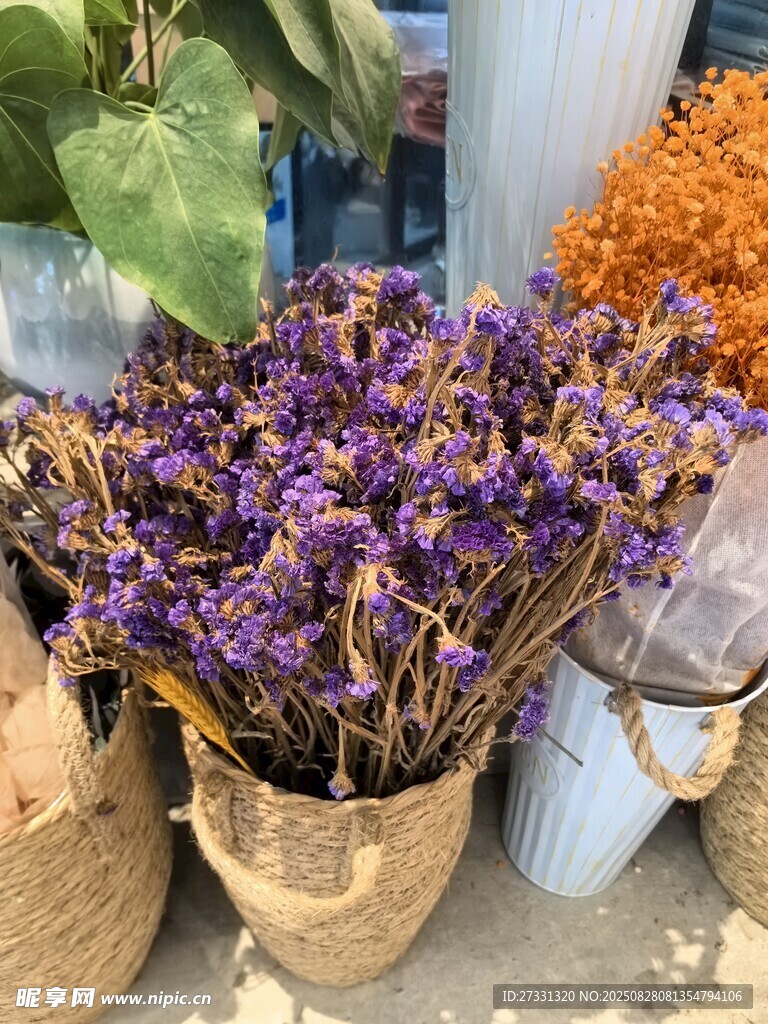 多彩干花束展示