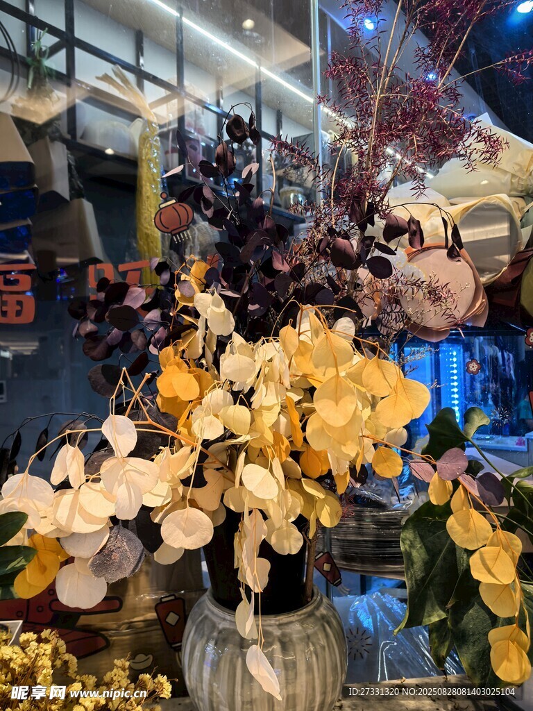 室内绽放的美丽黄色兰花
