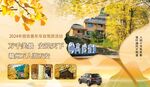 自驾游 旅游  杏叶