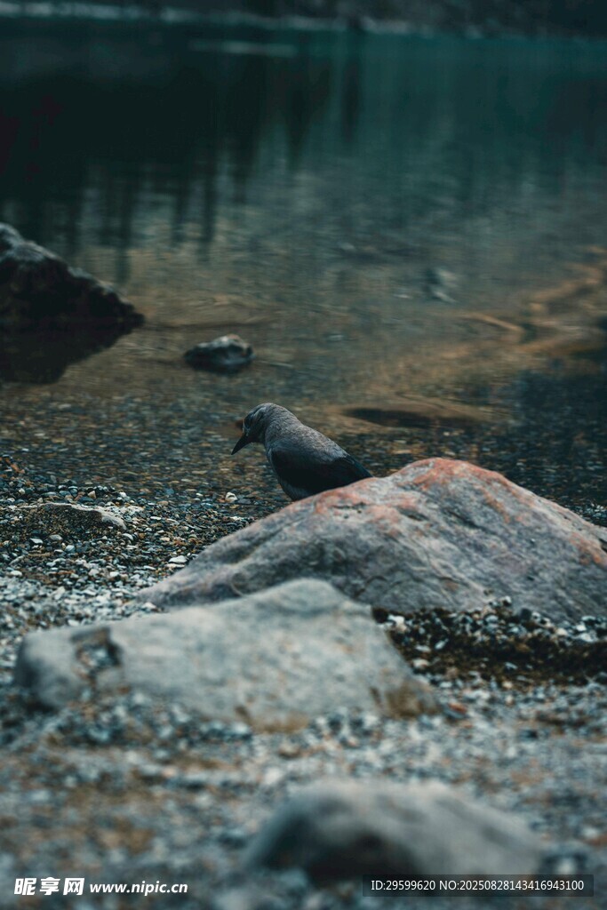 溪边岩石与平静水面景象