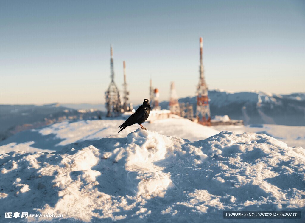 雪山上的独行者
