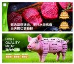 鲜肉区灯箱画面