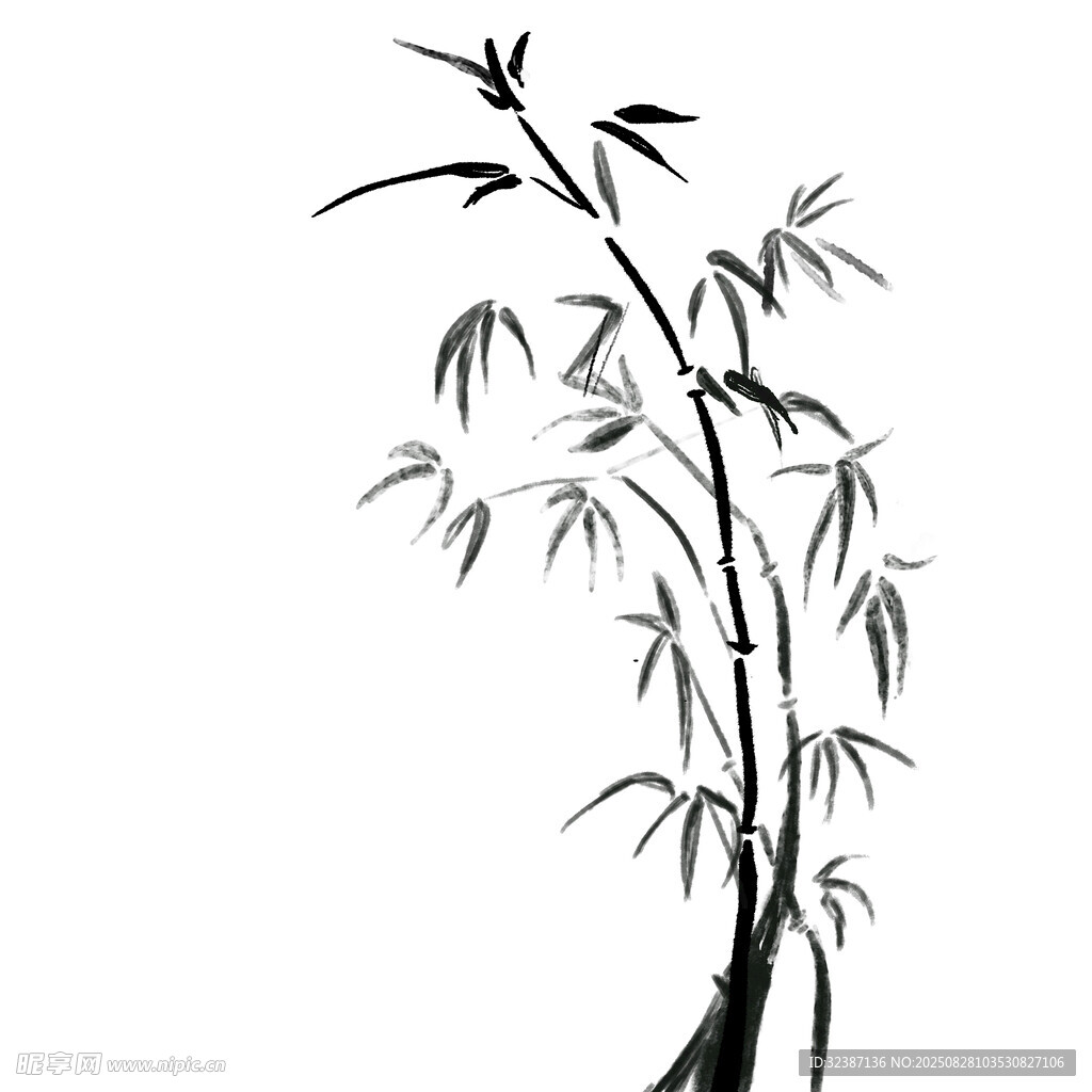 水墨风单株竹子插画