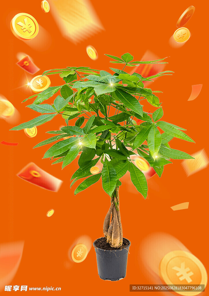 发财树旁金币红包飞舞绿植植物