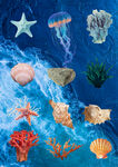 海底缤纷海洋生物珊瑚大集合