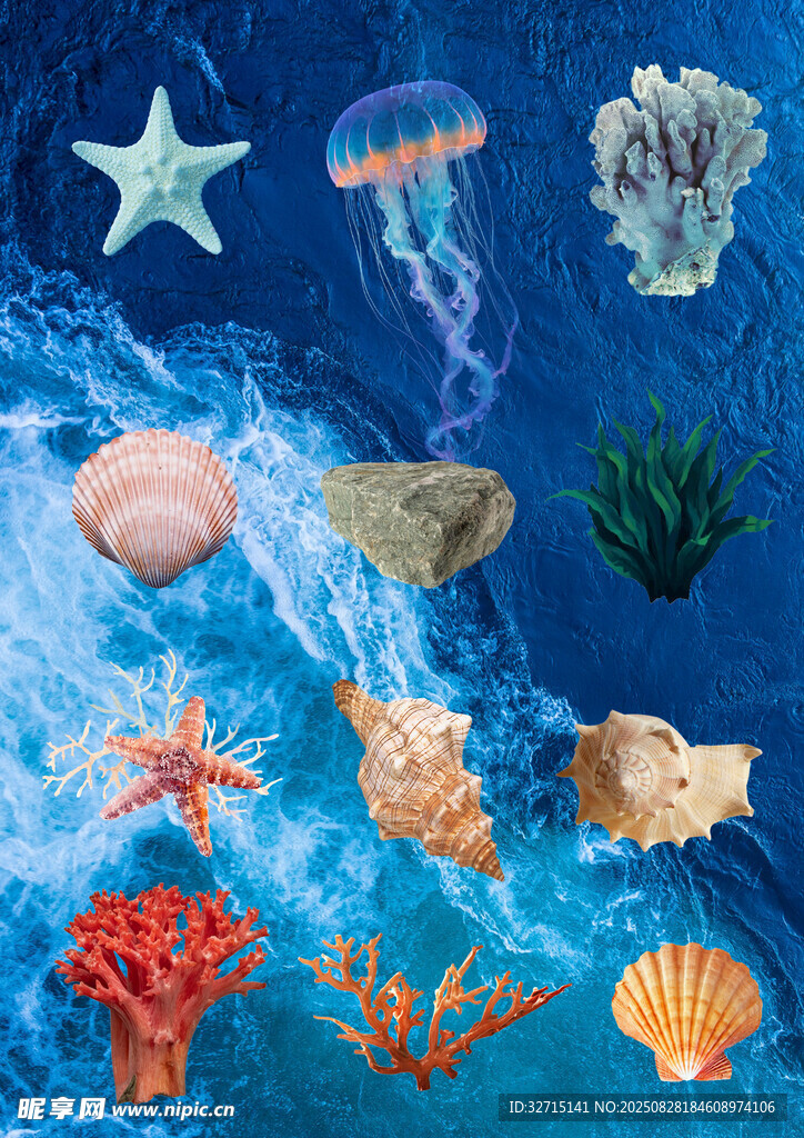 海底缤纷海洋生物珊瑚大集合