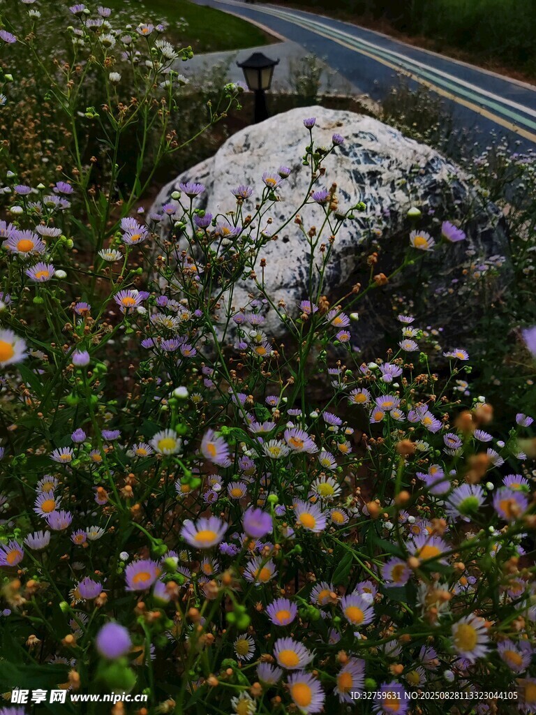 路边繁花与巨石景观