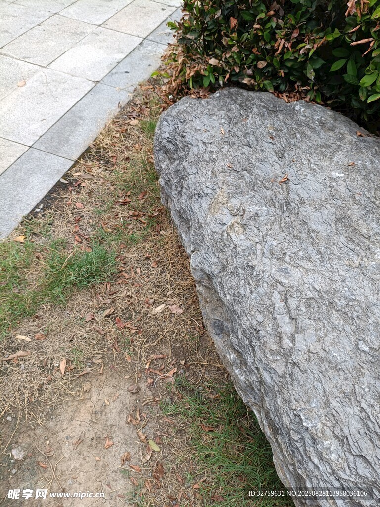 户外草地边的灰色大石头