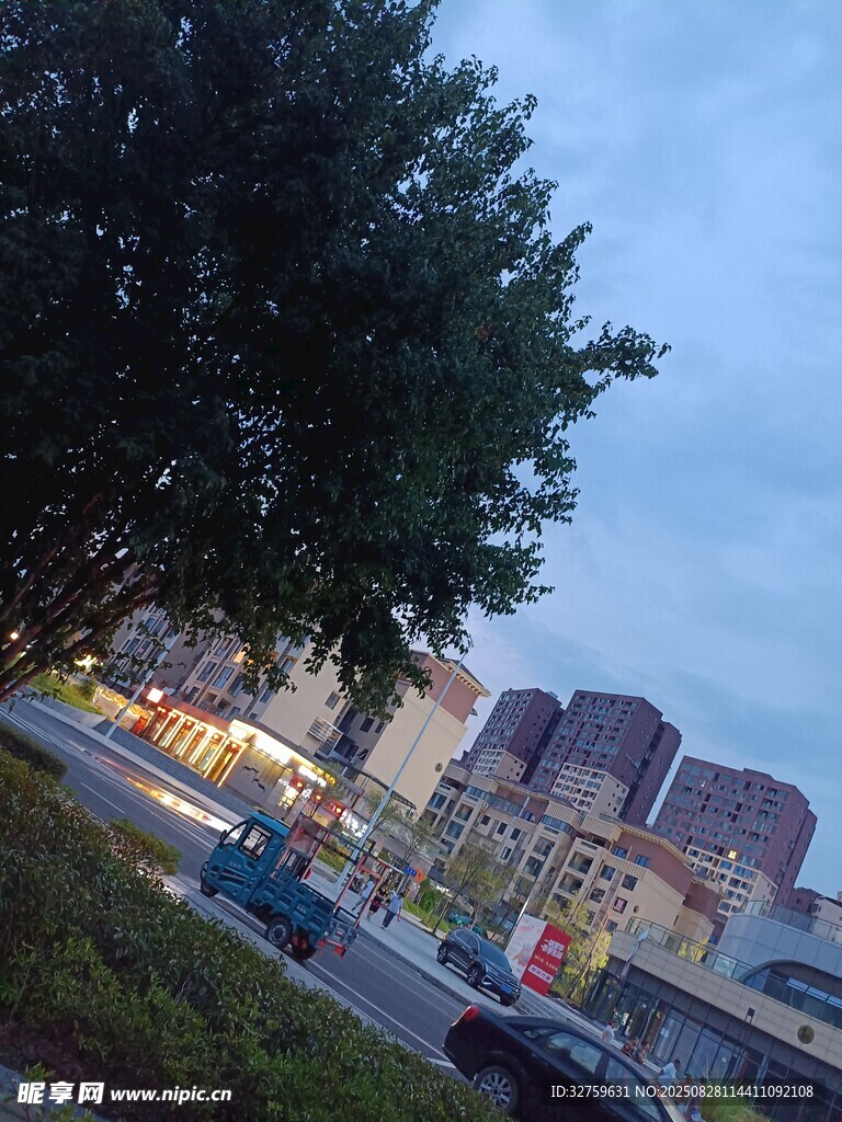 城市黄昏时的街景与树木
