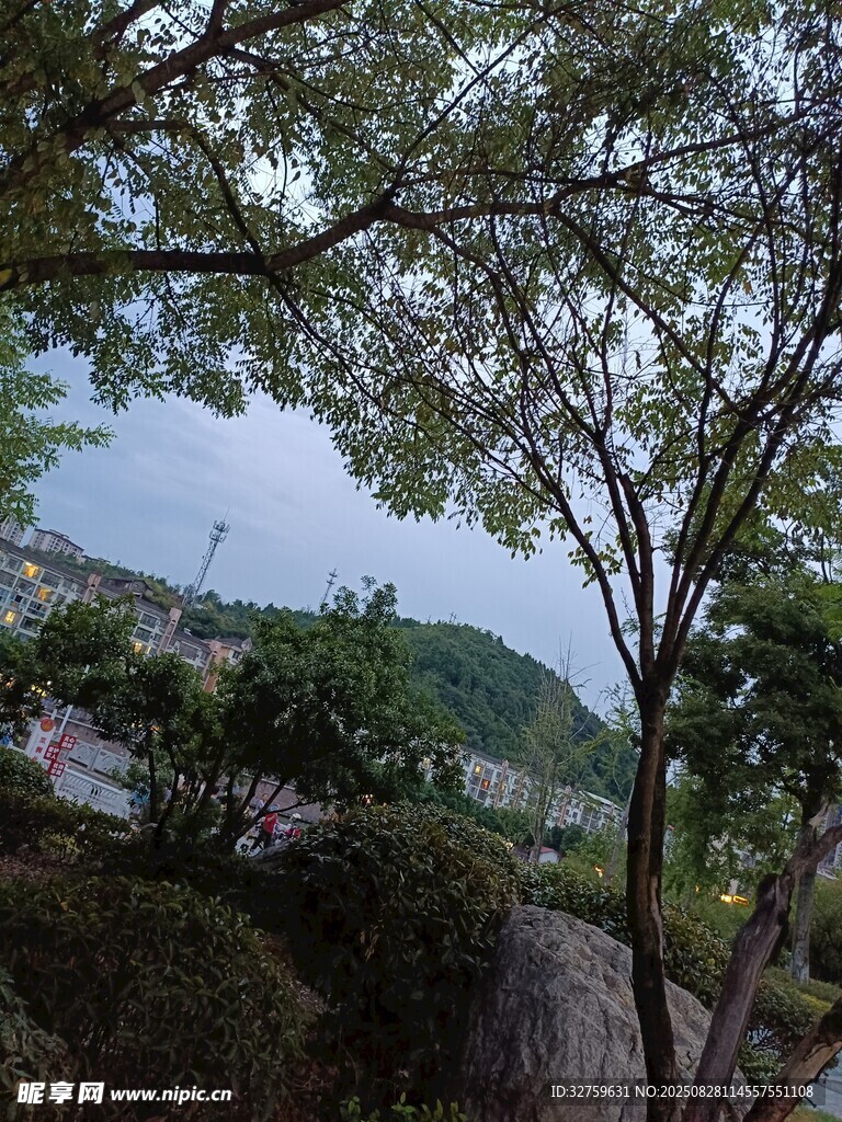 山间树影下的秀丽景致