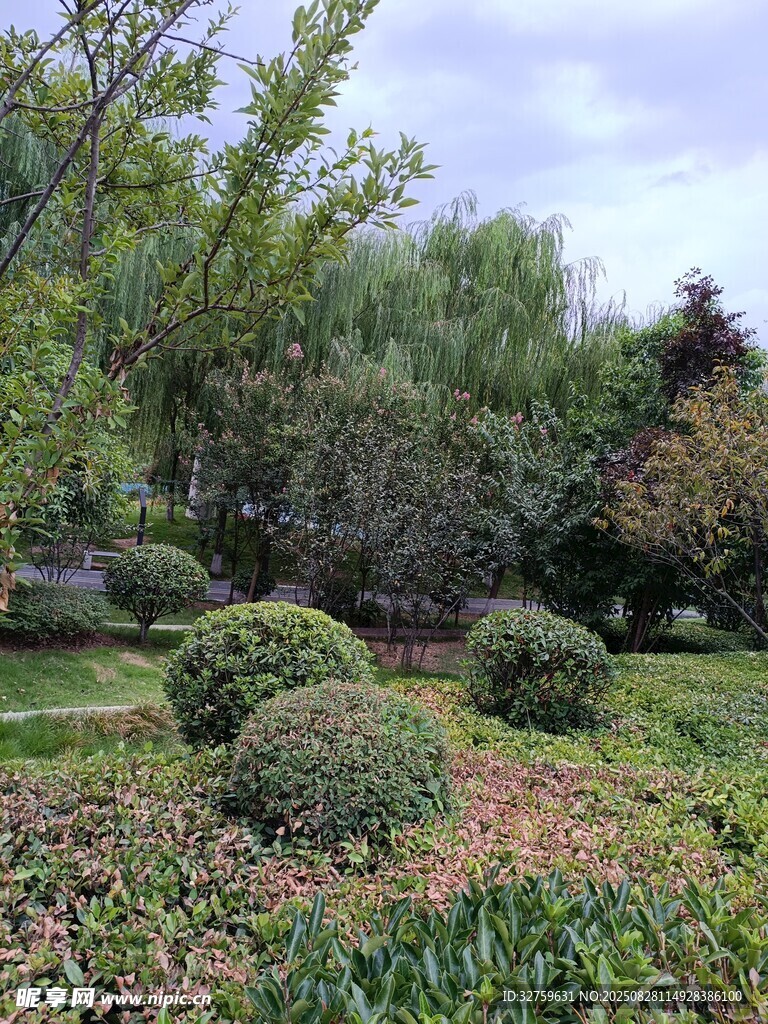 精致园林绿植景观