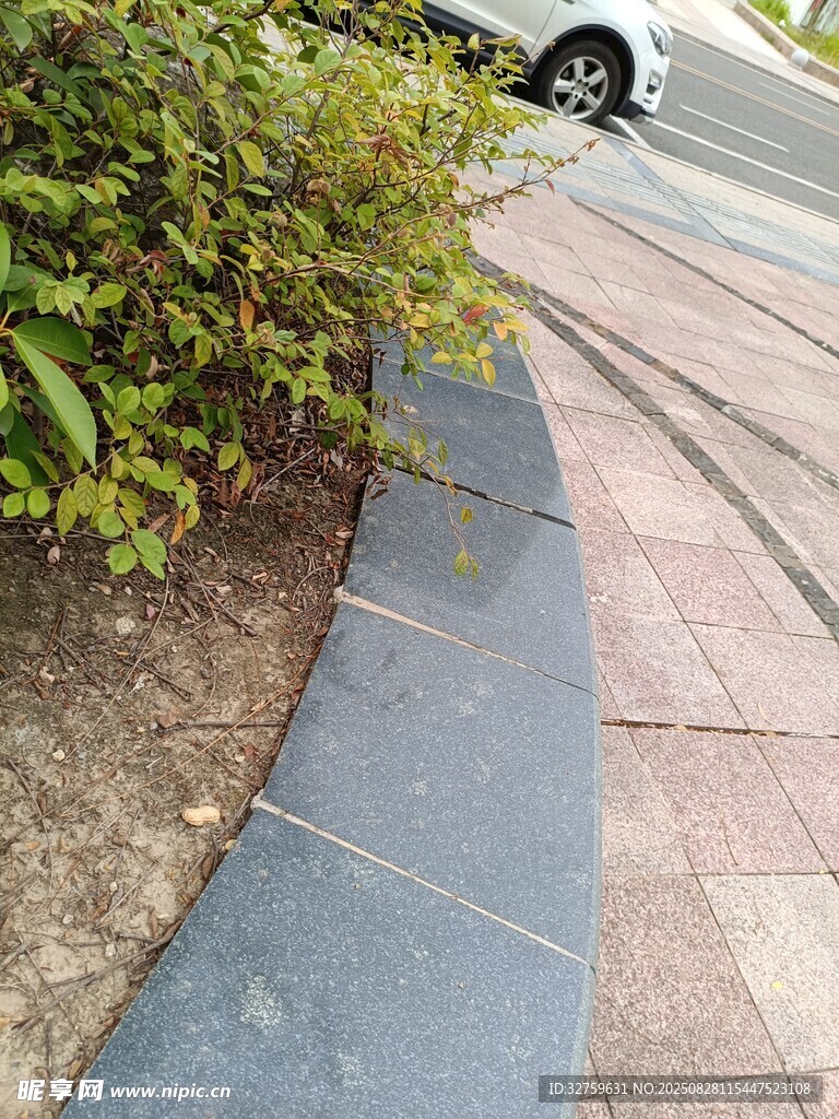 路边绿植与砖砌步道景观