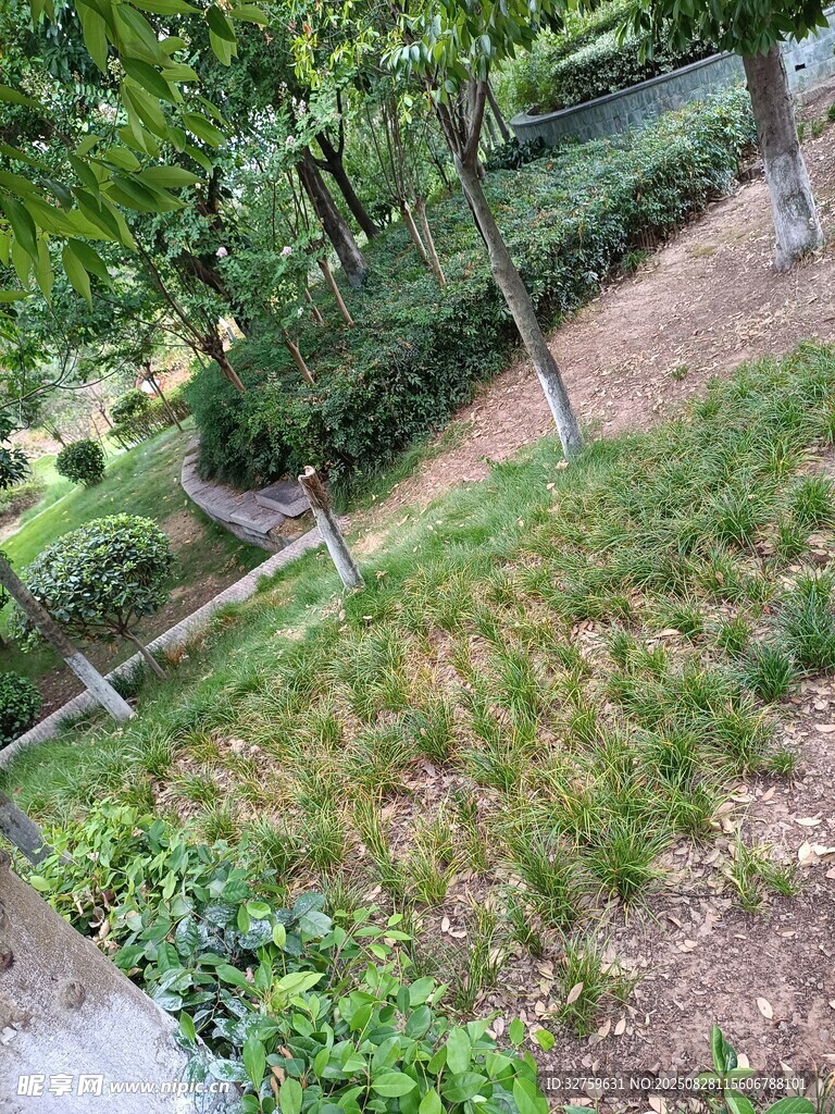 绿意盎然的户外园林景观