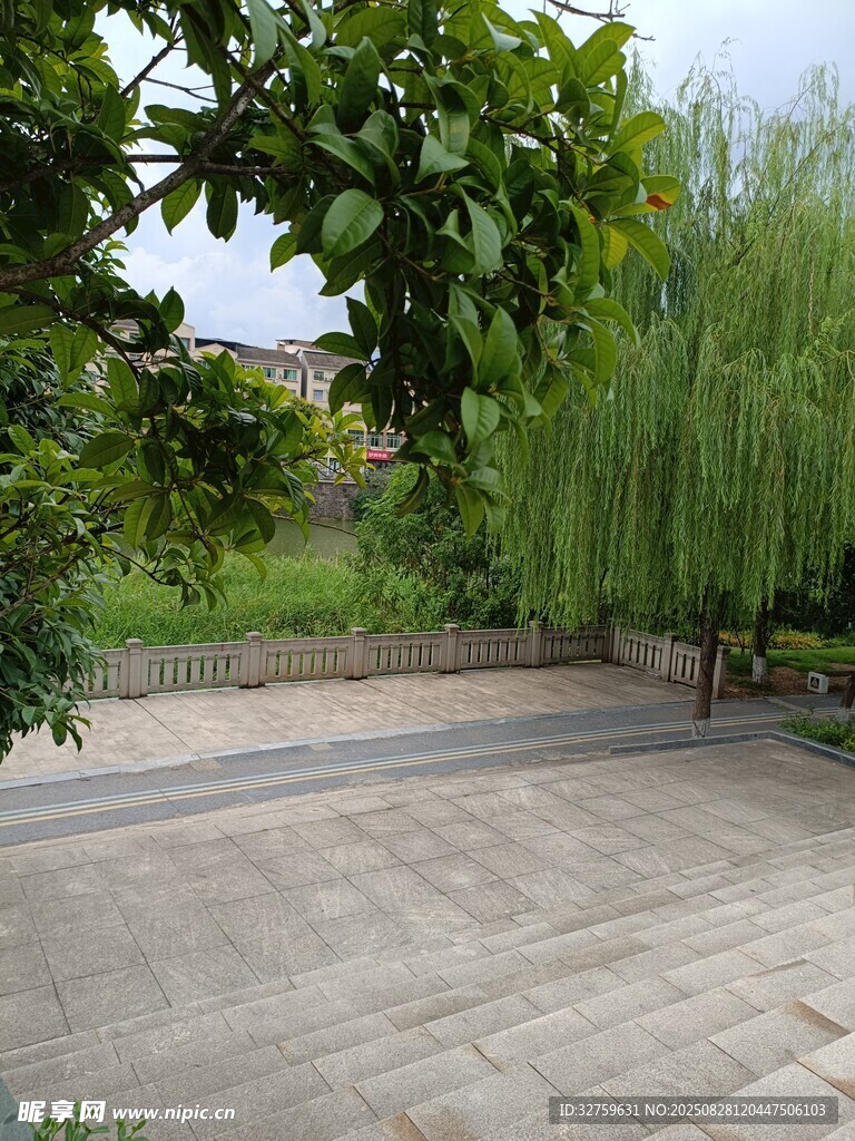 庭院户外石砖与绿植景观