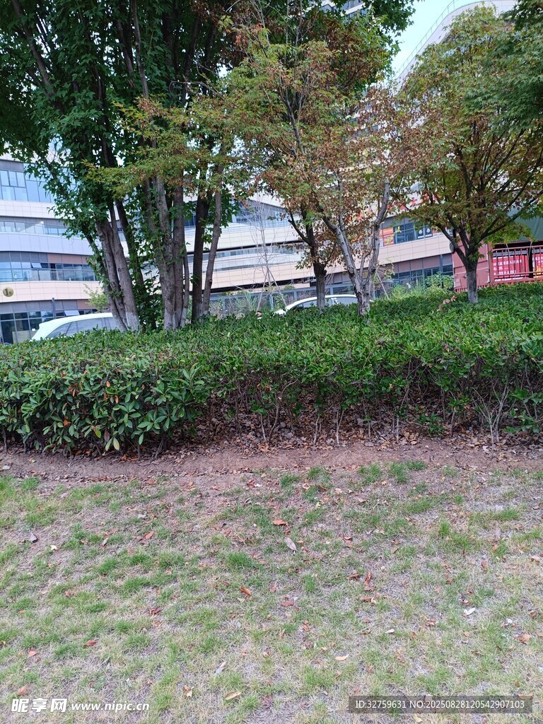 户外绿化景观