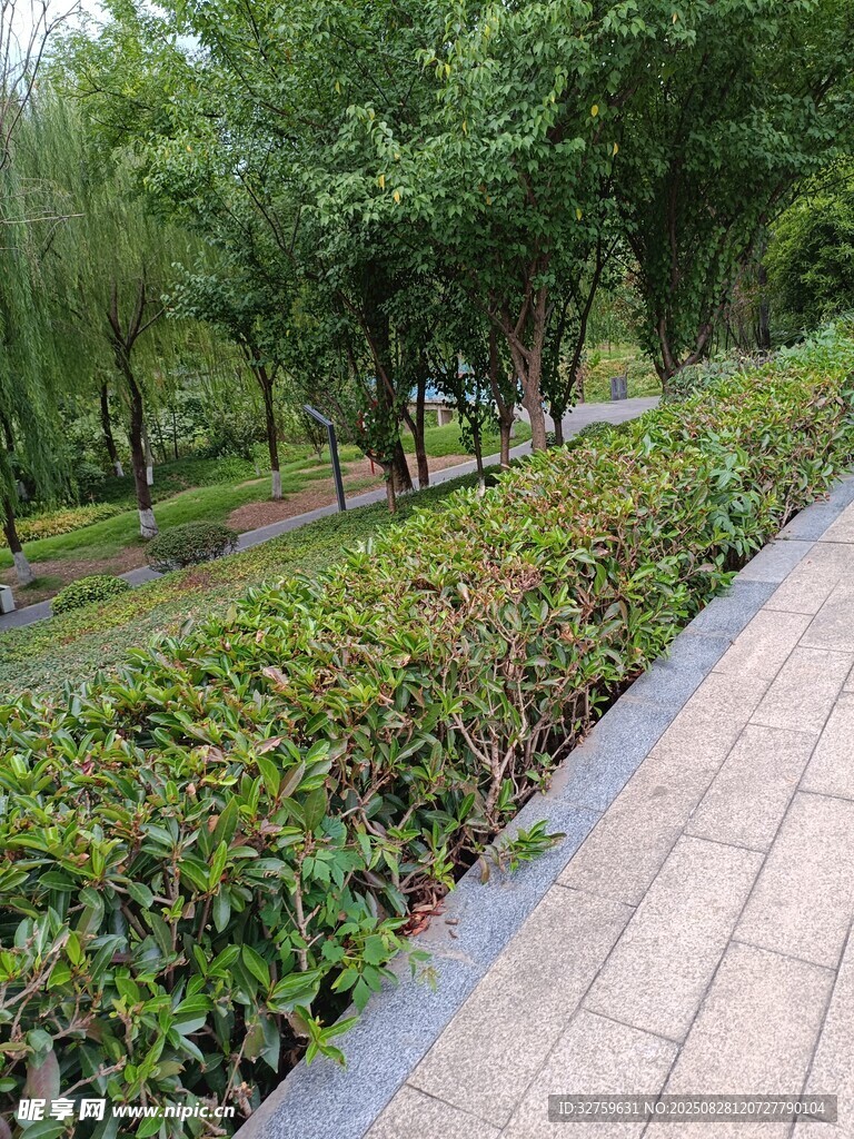 公园绿植环绕的砖石步道