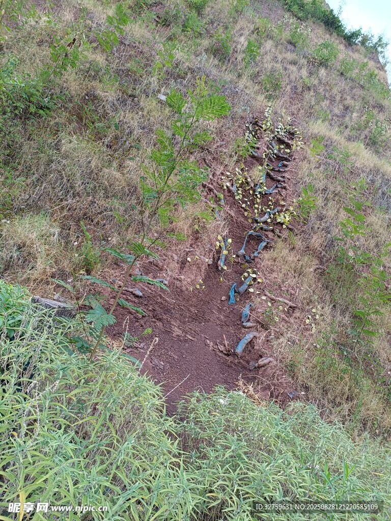 山坡上的泥泞小径