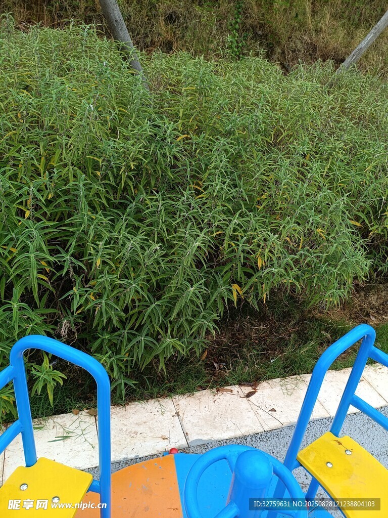 户外多彩座椅旁绿植景观