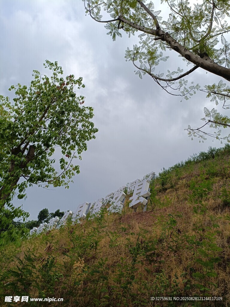 山坡绿树与多云天空
