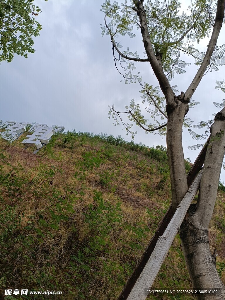 山间木栏旁的绿树风景