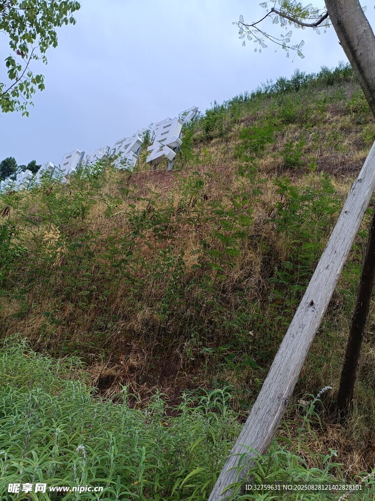 山坡绿植与倾斜木杆景象