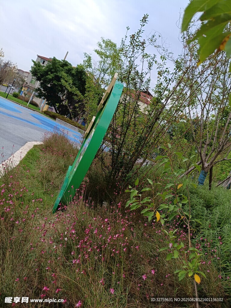 倾斜的绿色路标与周边植被