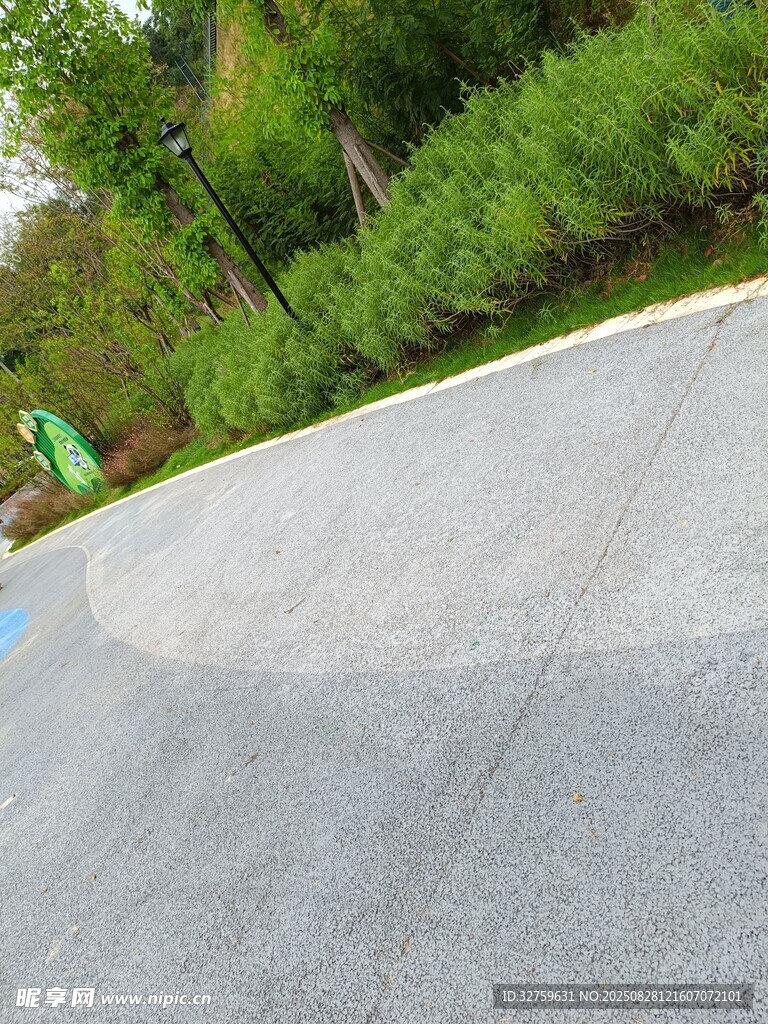 户外水泥路面与绿植景观