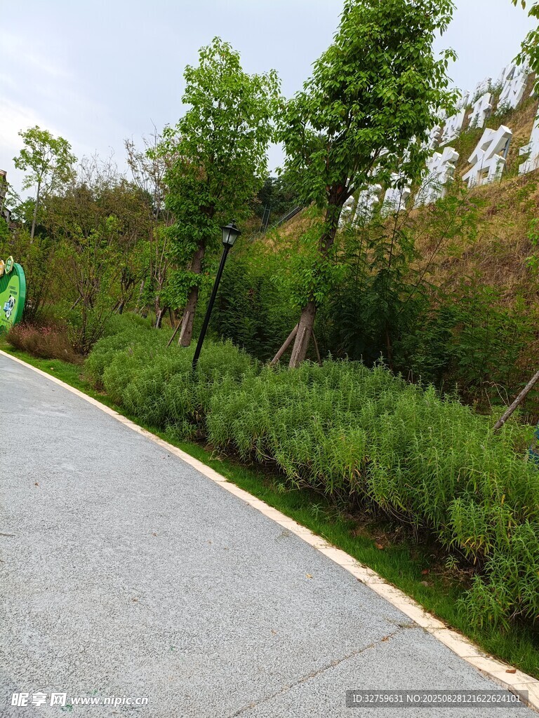 林间小道 