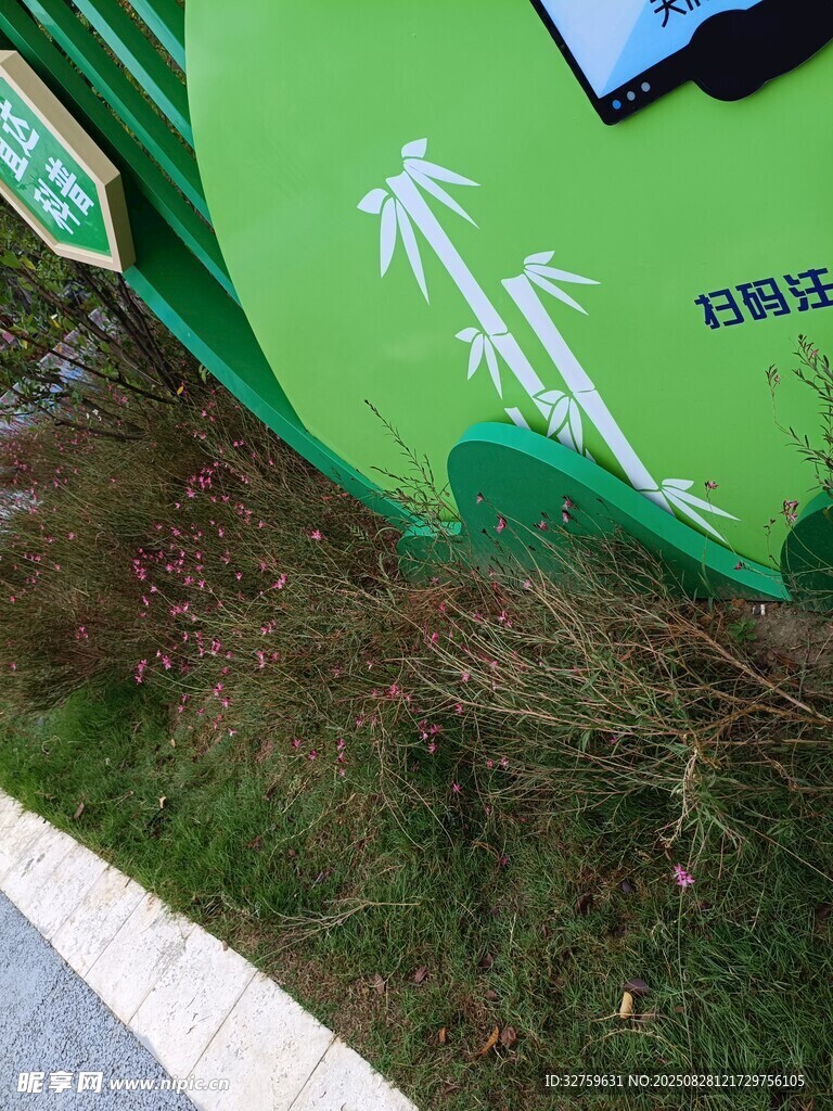 绿色墙面与地面绿植景观