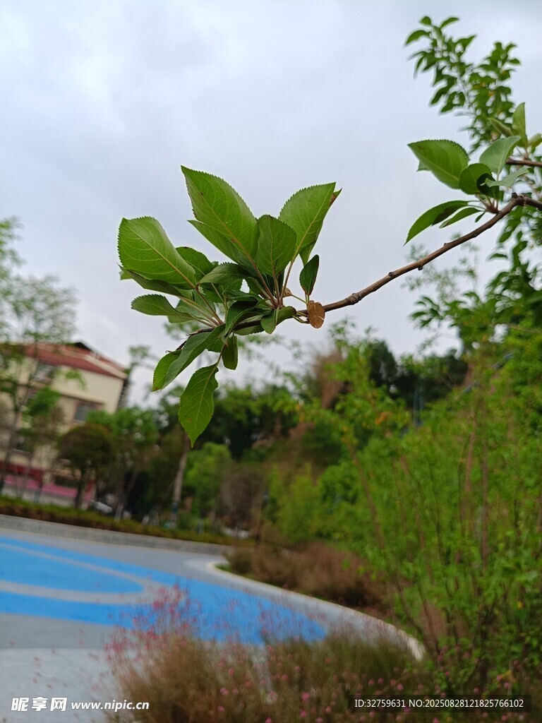 户外绿植与蓝色设施景观