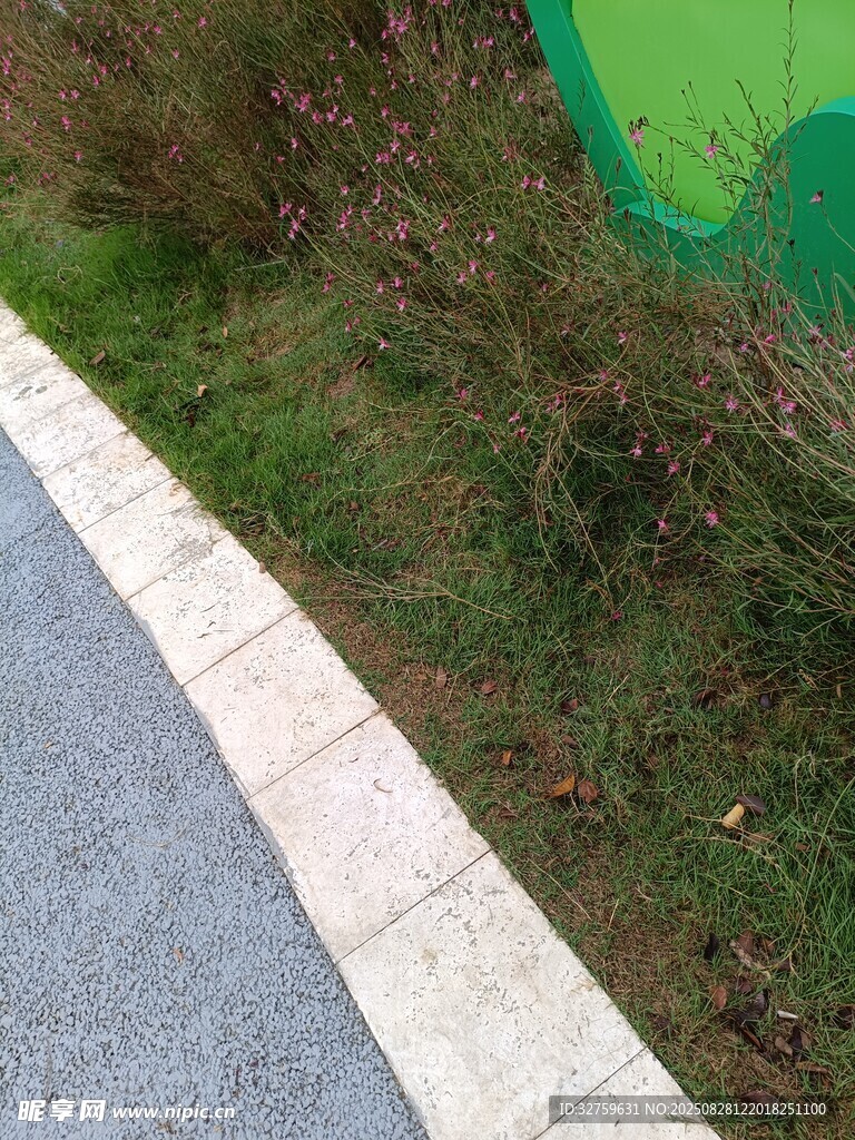 路边草地与步道景观