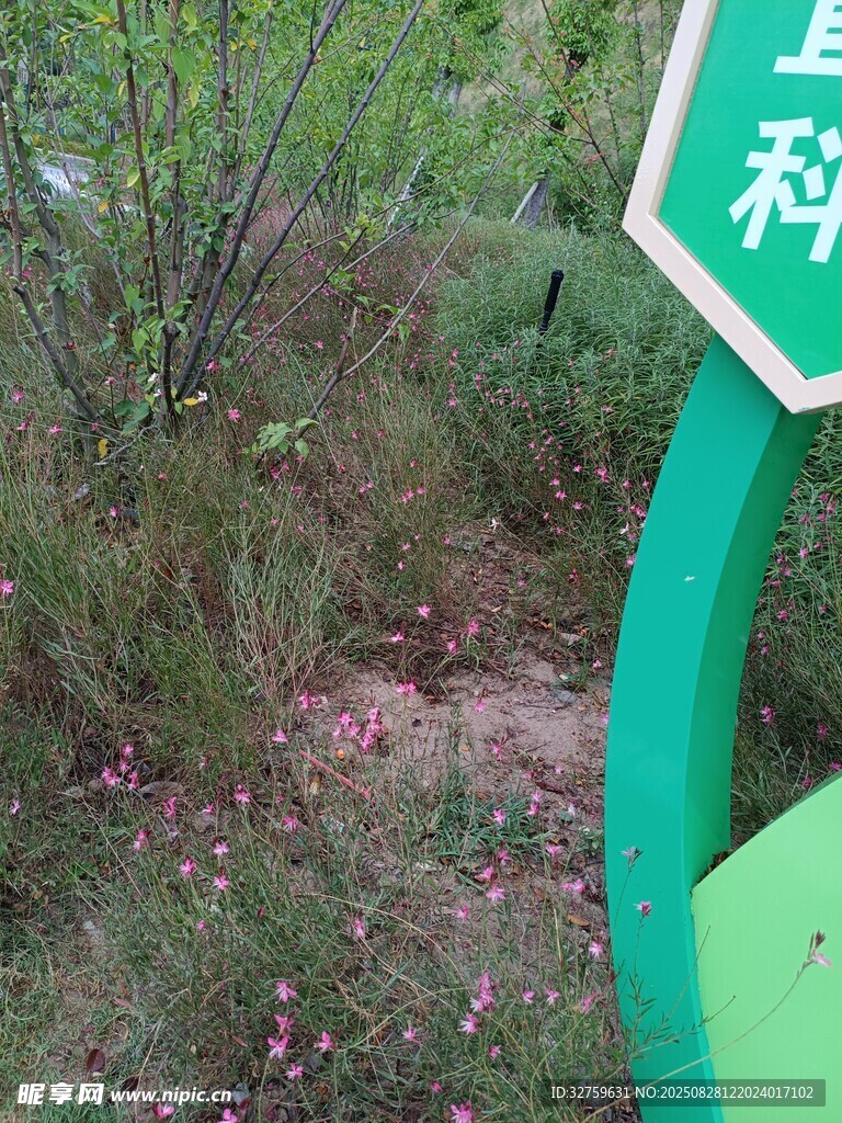 绿色指示牌旁的自然景致
