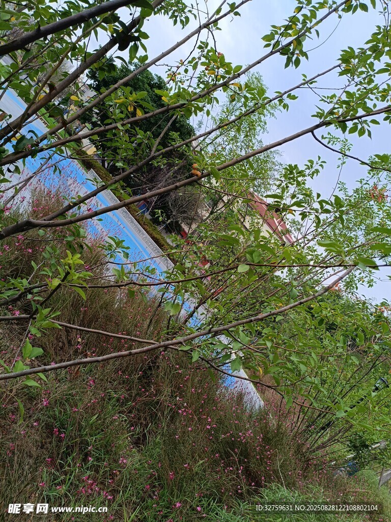 山间倾斜的蓝色管道